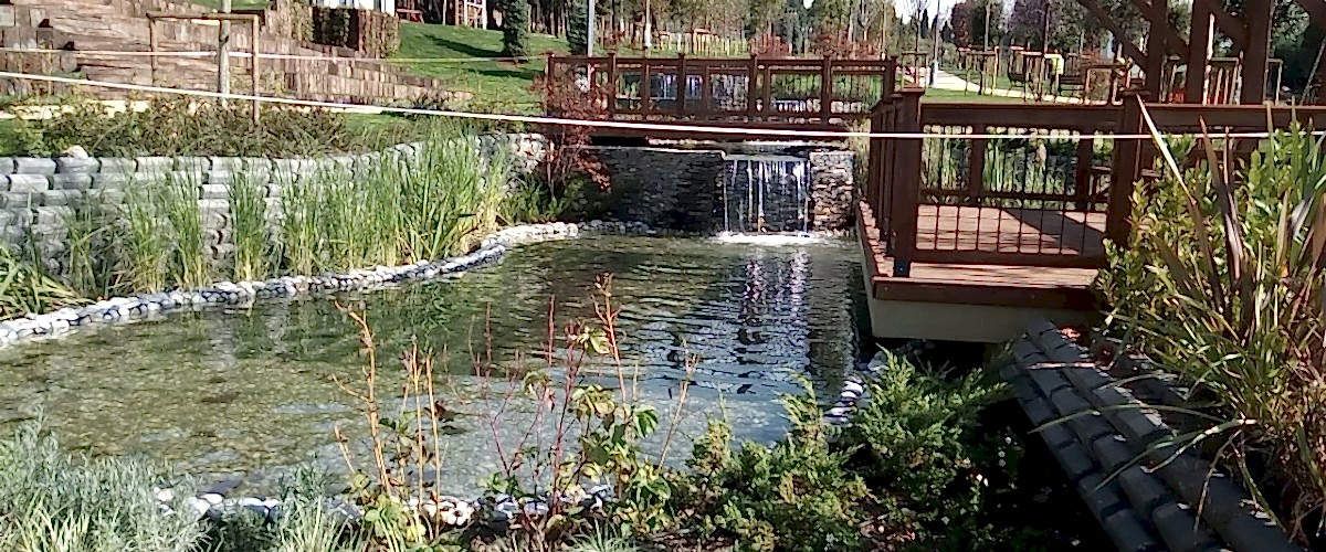 117591670_2566471956789548_1883297003107877248_n